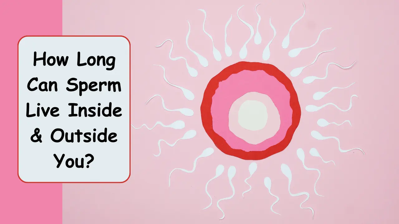 how long does sperm live outside the body